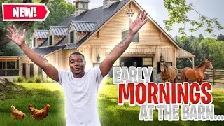 Early Morning At The Barn | Hard Work & Horses