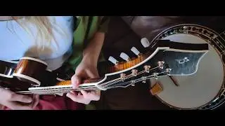 Bułas Mandolin sound sample - 