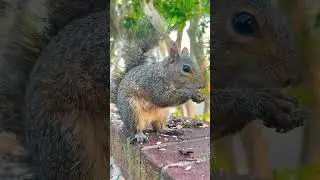 #reggae #music #bobmarley #connectwithnature 😂💕🥜