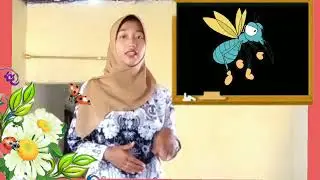Hewan Yang Menguntungkan Dan Merugikan Sd/MI kelas 2