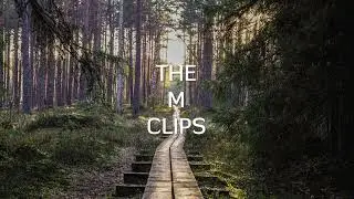 ROY KNOX x WTCHOUT - Shadows (Feat. Svniivan) (THE M CLIPS)