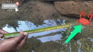 Banana leaf spear gun for shrimp fishing