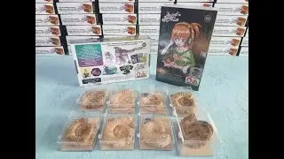 White Ammonite Hidden Mysterious Secret Trading Cards | Ancient Menace (Find Real Fossils)
