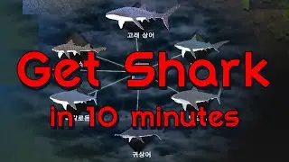 Cell to Singularity│How to get a shark easily