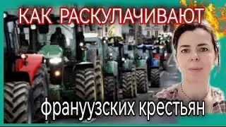ФЕРМЕРСКИЕ ПРОТЕСТЫ ВО ФРАНЦИИ - ИСТОРИЯ РАСКУЛАЧИВАНИЯ ФРАНЦУЗСКИХ КРЕСТЬЯН - МЕРКОСУР МАКРОН ЗА