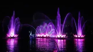 Disney World Holiday 2018 Animal Kingdom Part two Rivers Of Light