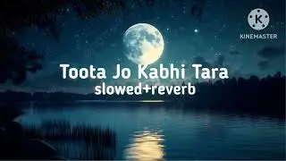 Toota Jo Kabhi Taara 💔 | Emotional Love Song | Sad Romantic Music Video