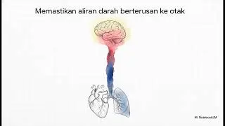 2.1 Resusitasi Kardiopulmonari (Cardiopulmonary Resuscitation, CPR) : Selamatkan Nyawa