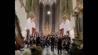 Vánoční koncert, katedrála sv. Petra a Pavla v Brně, 4.ledna 2025