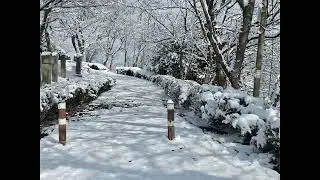 2026.1.11.눈내린 함평의 풍경
