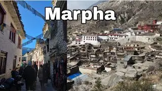 Mustang tour Day-3 || Marpha-Pokhara || mustang ko chisoo🥶