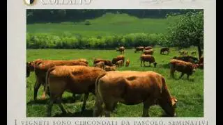 Presentazione Conte Collalto Italiano