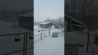 January 27, 2026  11 Below Windchill and Still Snowing in S.W. Michigan #snow #weather