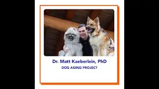 Matt Kaeberlein - The Dog Ageing Project | Part 1 | Lets Talk Pet Longevity