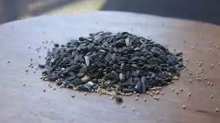 Wild Bird Center BirdWise&reg; Seed