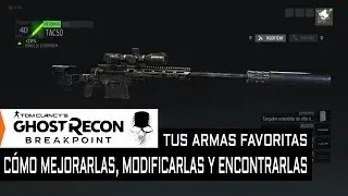 #Breakpoint - ARMAS | Cómo mejorar, modificar y encontrar tus favoritas