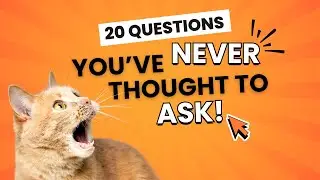20 Fun and Deep Questions You&rsquo;ve Never Thought to Ask (But Should)