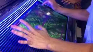 Cypher Gate MX by Chopang with hand guide
