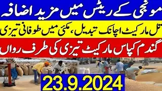 New Munji Rates 2024 | maize rates | Gandum ka rate today | Galla mandi rates || Apna Kisan Pakistan