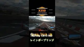 #中免で乗れるハーレー #バイク #ハーレーダビッドソン #x350 #bike #motorcycle #harleydavidson #ツーリング #朝活 #レインボーブリッジ #お台場