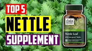 Best Nettle Supplement: Top 5 Best Nettle Root Herbal Supplements