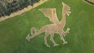 Bures Dragon