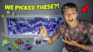 PICKING OUT FISH for My SALTWATER AQUARIUM!! (crazy)