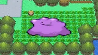 Как найти Дитто в Pokemon Diamond и Pearl