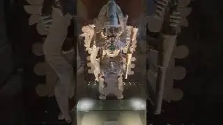 #ancient #artifacts #travel #mexico