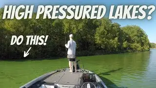 Late Summer - Where Do The Bass Go On Pressured Lakes?   ( How I Catch Them )
