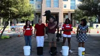 Frisco Public Art Board #als #icebucketchallenge
