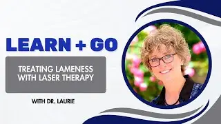 Axel's Turnaround: Treating Lameness with Laser Therapy - Learn & Go with Dr. Laurie