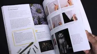 Drawing and Sketching Secrets: 200 Tips and Techniques for Drawing the Easy Way