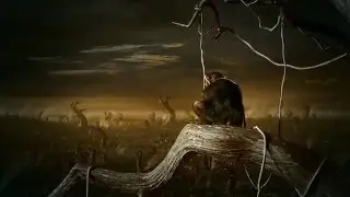 Best Video You Will Ever See  Stop Global Warming Awareness Video