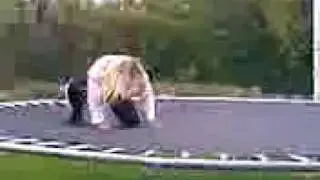 den faldende
