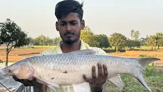 ওরে ব্ল্যাডকাপ🎣#reals #fishing #wow #fish #boatfishing #usafishing #bigfish #fishingcompetition