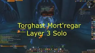 Shadowlands 9.0.2 Feral Druid - SOLO Torghast Mort'regar Layer 3 Run. MAD CONVOKE BURST!!!