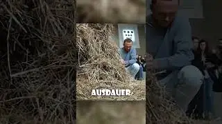 Nadel im Heuhaufen finden