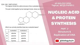 Nucleic Acids & Protein Synthesis | Topical MCQs | Part 2 | AS Level Biology 9700 |  @biologybyhr ​