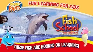 Fish School: The Surface - Trailer | Sarah Taylor, Avery Williams, Tina Shuster, Thomas Carr