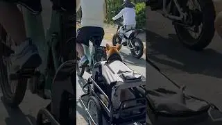 #ebike #electricebike #mtb #electricbicycle #automobile