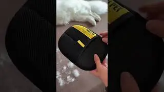 The most authentic pet hair product review in 2025🐈🐾 #pethairremoval #cat