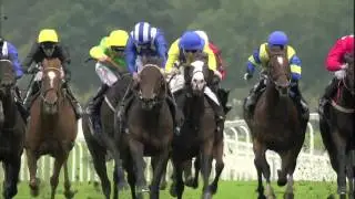 MUHAARAR - European Champion Sprinter 2015