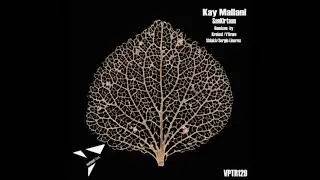 Kay Mallani - SanKirtaan (Yfirum Remix) [VPTR129]