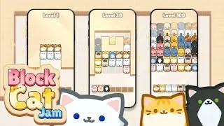 Box Cat Jam