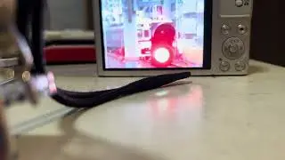 やはりコンデジがまだまだ持つので写し動画今年からとことんやっていく❣️