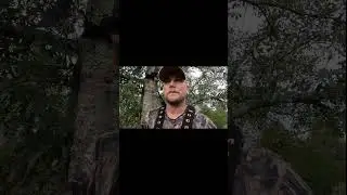 Bow hunting Arkansas opening morning #fypyoutube #shorts #deerhunting #deer #bowhunting #short
