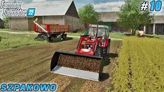 Building a Profitable Feed Business from Potatoes and Corn! | Szpakowo Farm | FS 22 | Timelapse #10