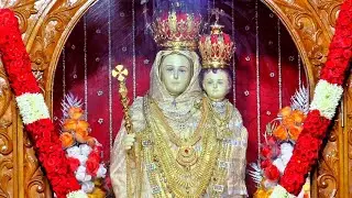 🔴நேரலை பௌர்ணமி நற்கருணை ஆராதனை & திருப்பலி | மழை மலை மாதா அருள்தலம், அச்சிரப்பாக்கம்.