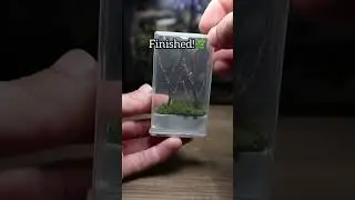 Did you know you could do this with a Tic-Tac box!